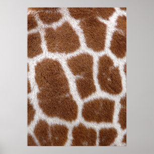 Poster Giraffe Spots