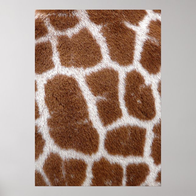 Poster Giraffe Spots (Frente)