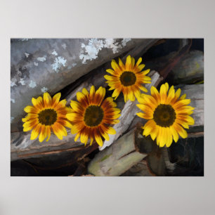 Poster Girassóis em toros Amarelo-castanho Arte Russa