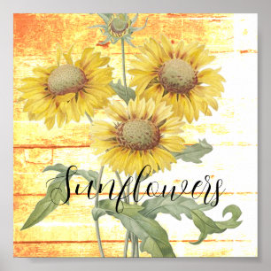 Poster Girassóis sobre madeira