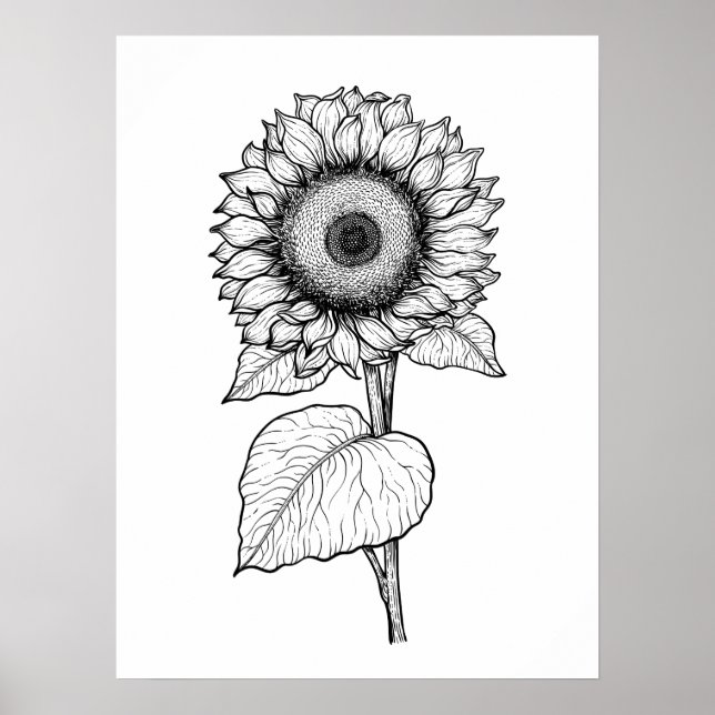 Poster Girassol (Frente)