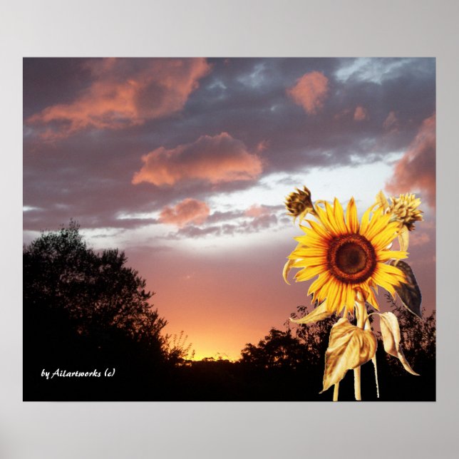 POSTER GIRASSOL E PÔR DO SOL DE VERÃO ROSA (Frente)