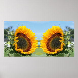 Poster Girassol Em Sunshine Mirror Abstrato