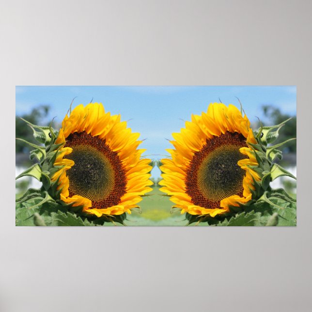 Poster Girassol Em Sunshine Mirror Abstrato (Frente)