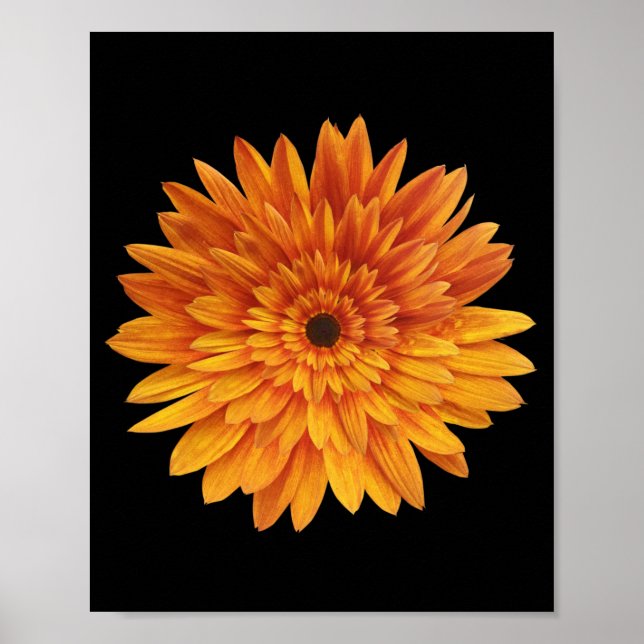 Poster girassol flor flores (Frente)