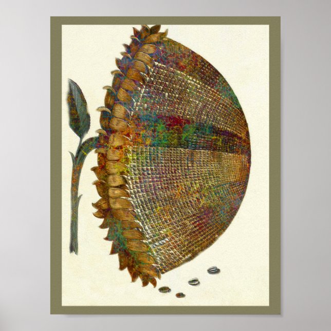 Pôster Girassol italiano medieval (Frente)