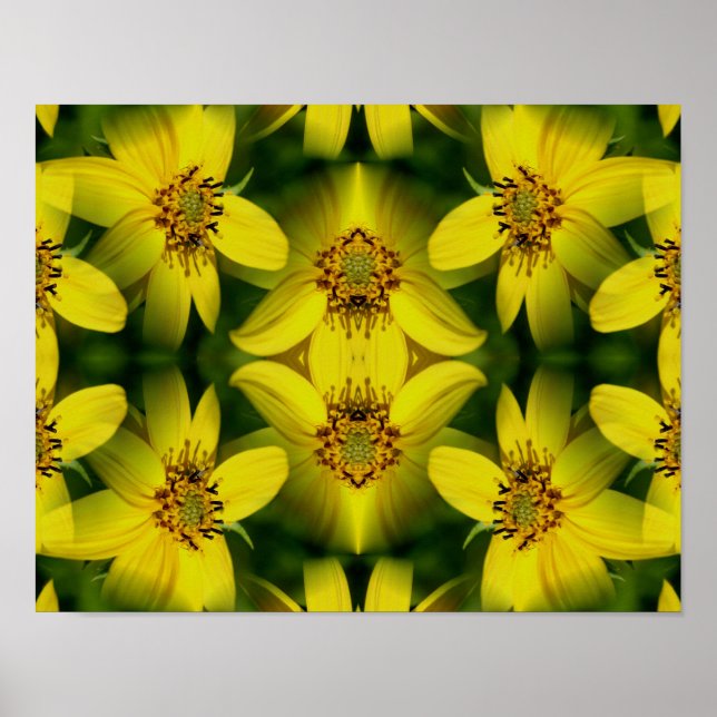 Poster Girassol Maximillian Abstrato         (Frente)