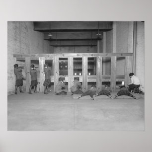 Pôster Girls Rifle Team, 1922. Vintage Photo