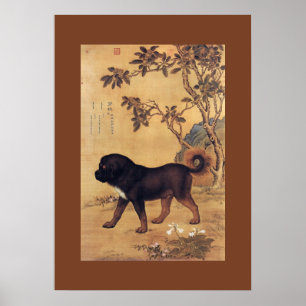 Pôster ~ Giuseppe Castiglione do Mastiff tibetano do ~ do