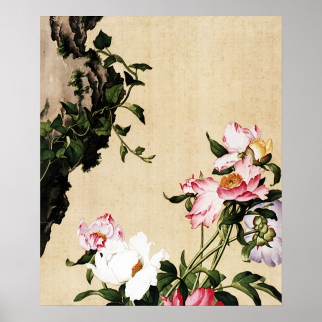 Poster Giuseppe Castiglione - Paeony Fine Art (Frente)