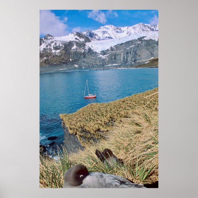 Poster Glaciers and sailing yacht in background (Frente)