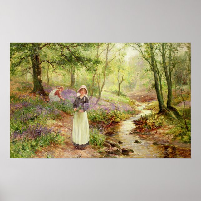 Poster Glade Bluebell (Frente)