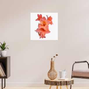 Poster Gladiolo Laranja Floral 