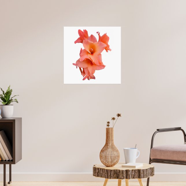 Poster Gladiolo Laranja Floral  (Sala de Estar 3)