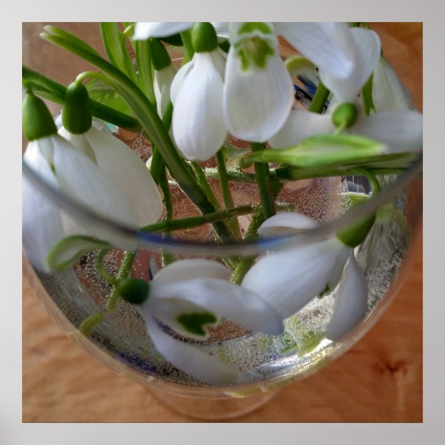 Poster glass of snowdrops (Frente)