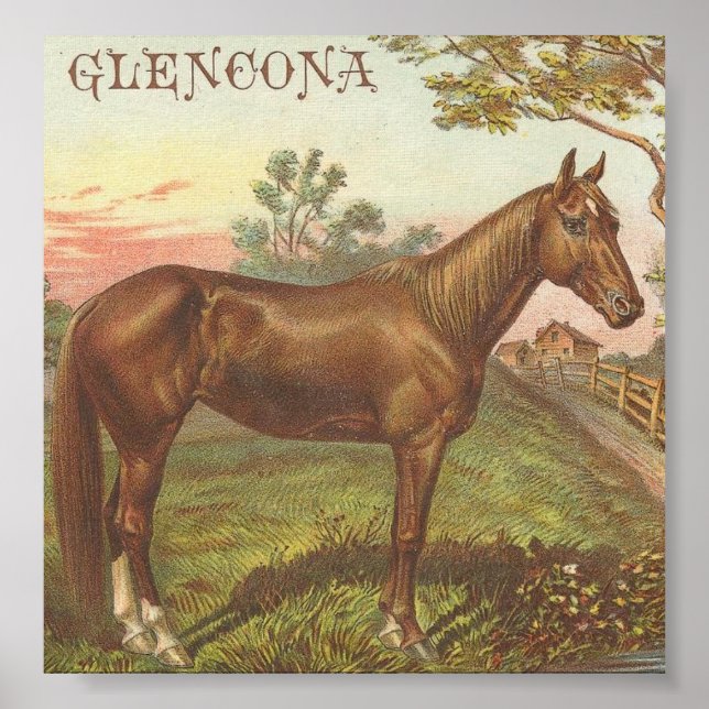 Poster Glencona (Frente)
