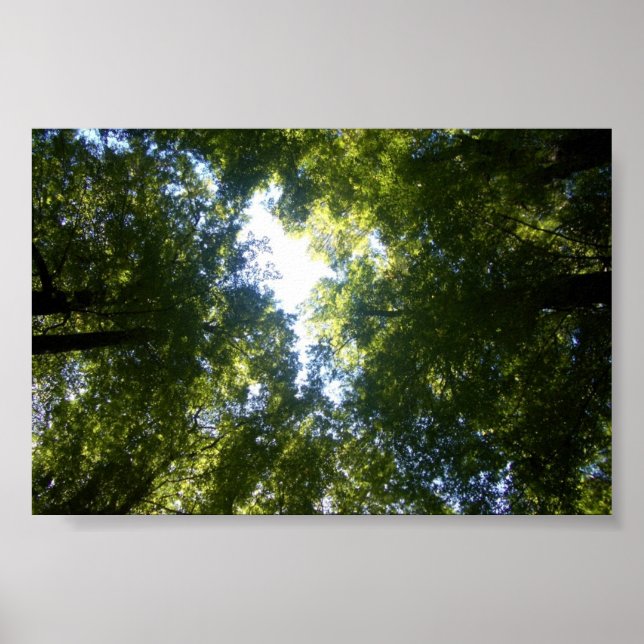 Pôster Glenorchy, NZ (Frente)