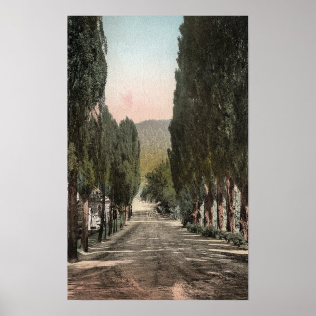 Pôster Glenwood Primaveras, Colorado (Frente)