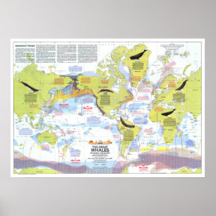 Poster " Global: 1976 - Wale der Welt Wanderkarte ...
