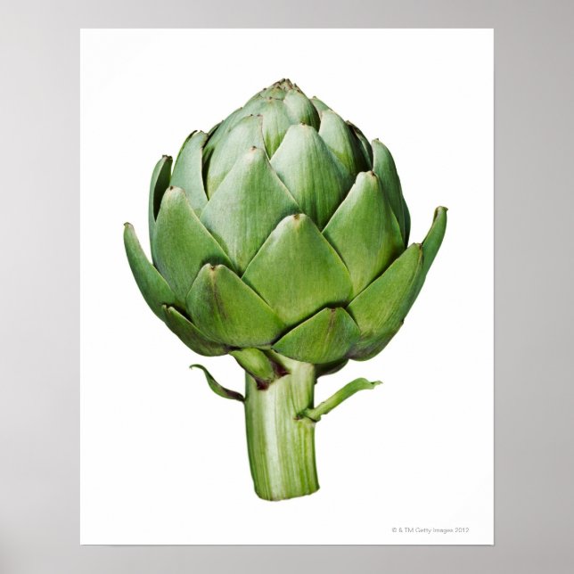 Pôster Globe Artichoke em White Background Corte Out (Frente)