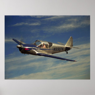 Pôster Globe, Swift 1946_Classic Aviation