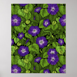 Poster Glória da manhã em roxo e verde