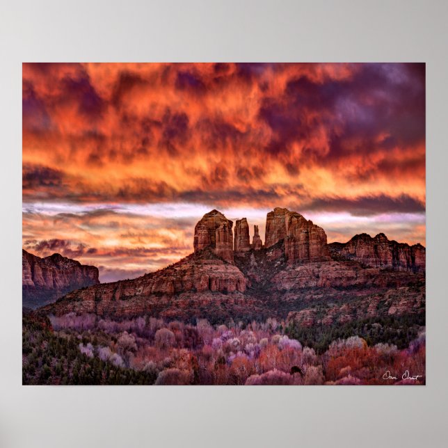 Poster Glória da Manhã Rosa (Frente)