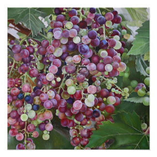 Pôster Glória das Vinhas - Arte do Vineyard hiperrealista