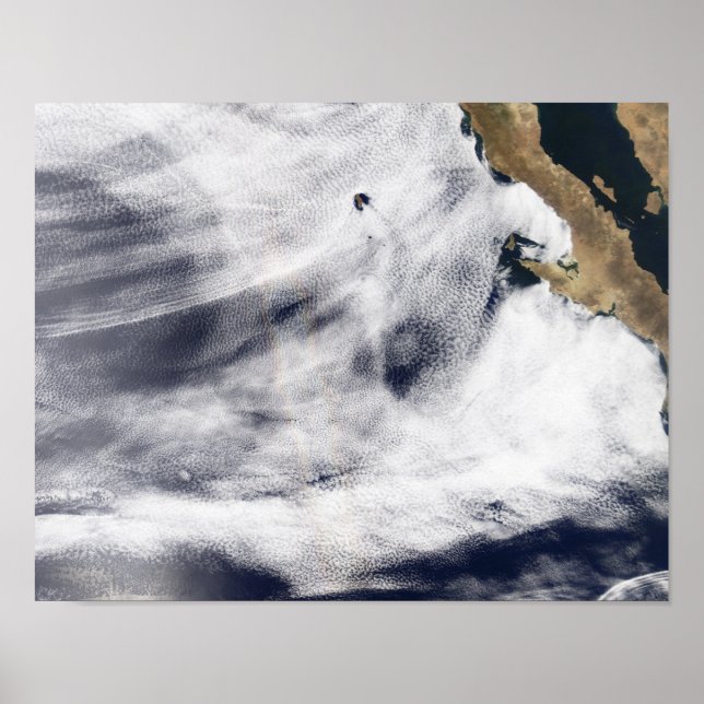 Pôster Glória sobre o Oceano Pacífico (Frente)