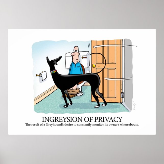 Poster Glossário Greyhound Ingresão da privacidade (Frente)