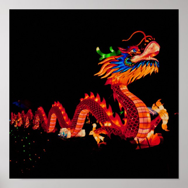 Poster Glowing Chinese Parade Dragon (Frente)