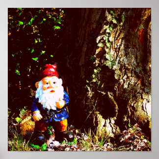 Pôster Gnomo Vermelho Capturado