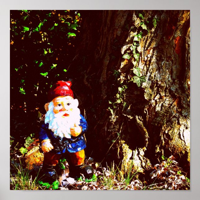 Pôster Gnomo Vermelho Capturado (Frente)