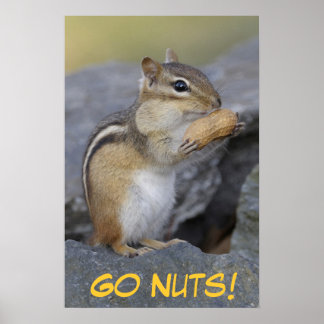 Poster Go Nuts!