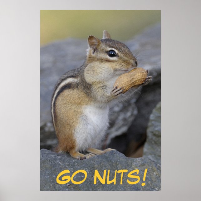 Poster Go Nuts! (Frente)