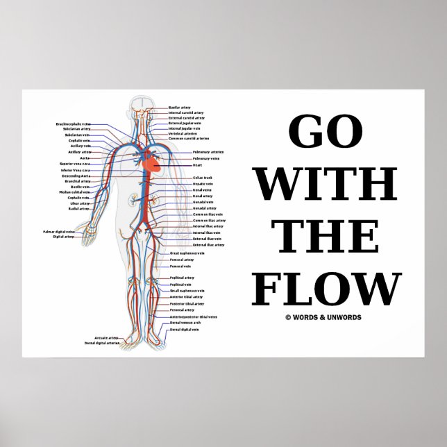 Pôster Go With The Flow (Circulatory System) (Frente)