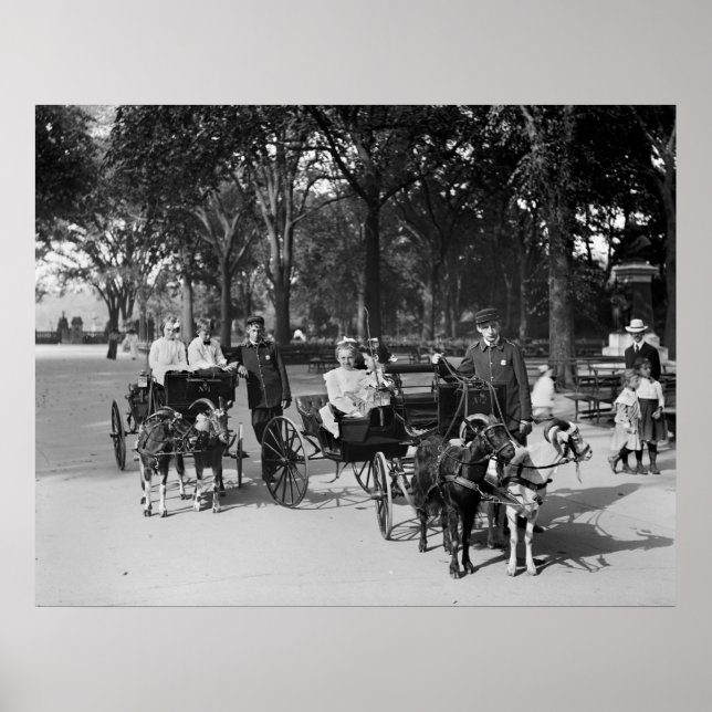 Pôster Goat Carriage Ride, early 1900s (Frente)