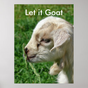 Pôster Goat Parody Engraçado, Garoto Gato