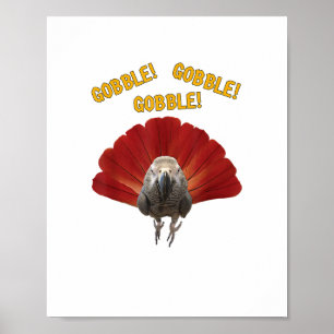 Poster Gobble! Turquia Ação de Graças de Papagaio-Cinza A