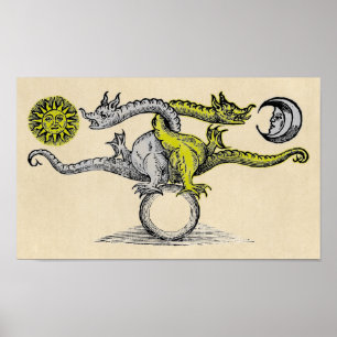 Poster Gold and Silver Dragon Symbol
