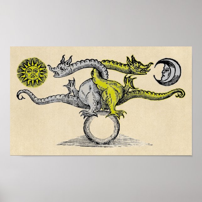 Poster Gold and Silver Dragon Symbol (Frente)