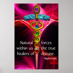 Pôster GOLD CADUCEUS,7 CHAKRAS,PINK FRACTAL WAVES Medical