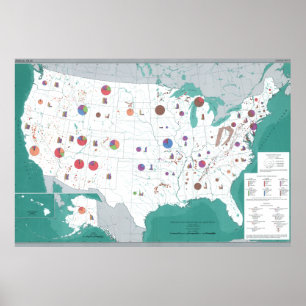 Pôster Gold Silver Major Metals Map of the United States