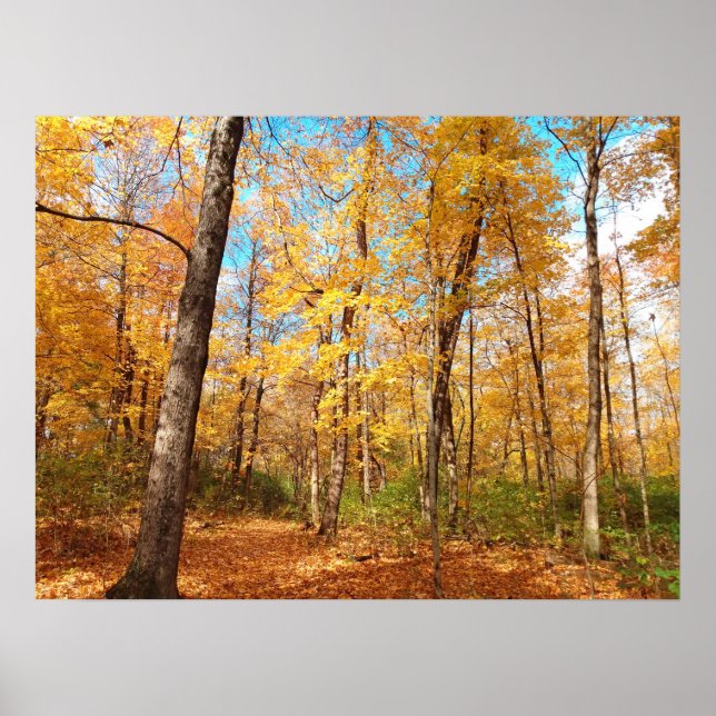 Poster Golden (Frente)