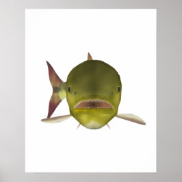 Poster Golden Dorado Fish Head