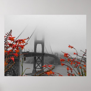 Pôster Golden gate bridge preto e branco