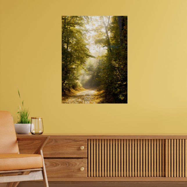Poster Golden Morning park, Original Fine Art Photograph (Sala de Estar 2)
