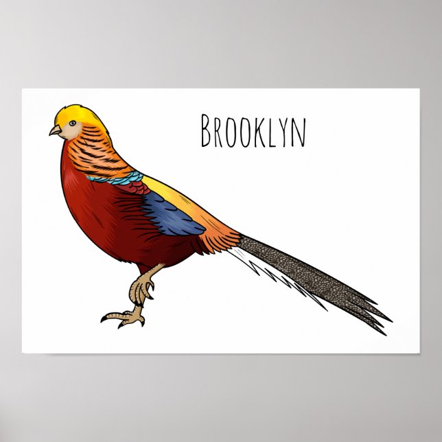 Poster Golden pheasant bird cartoon illustration (Frente)