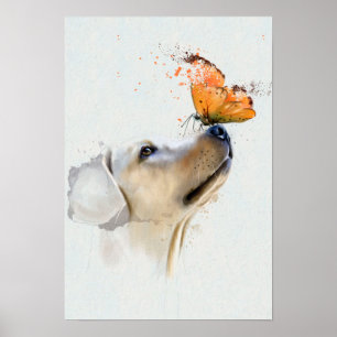 Poster Golden retriever com uma borboleta em seu nariz