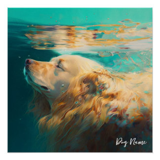 Pôster Golden Retriever dog swimming in water 004